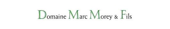 MARC MOREY